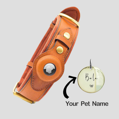 Personalized Pet AirTag Collar